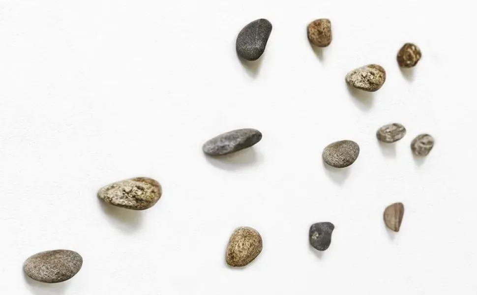 Appendiabiti Minotti italia modello Meteore a prezzo ribassato