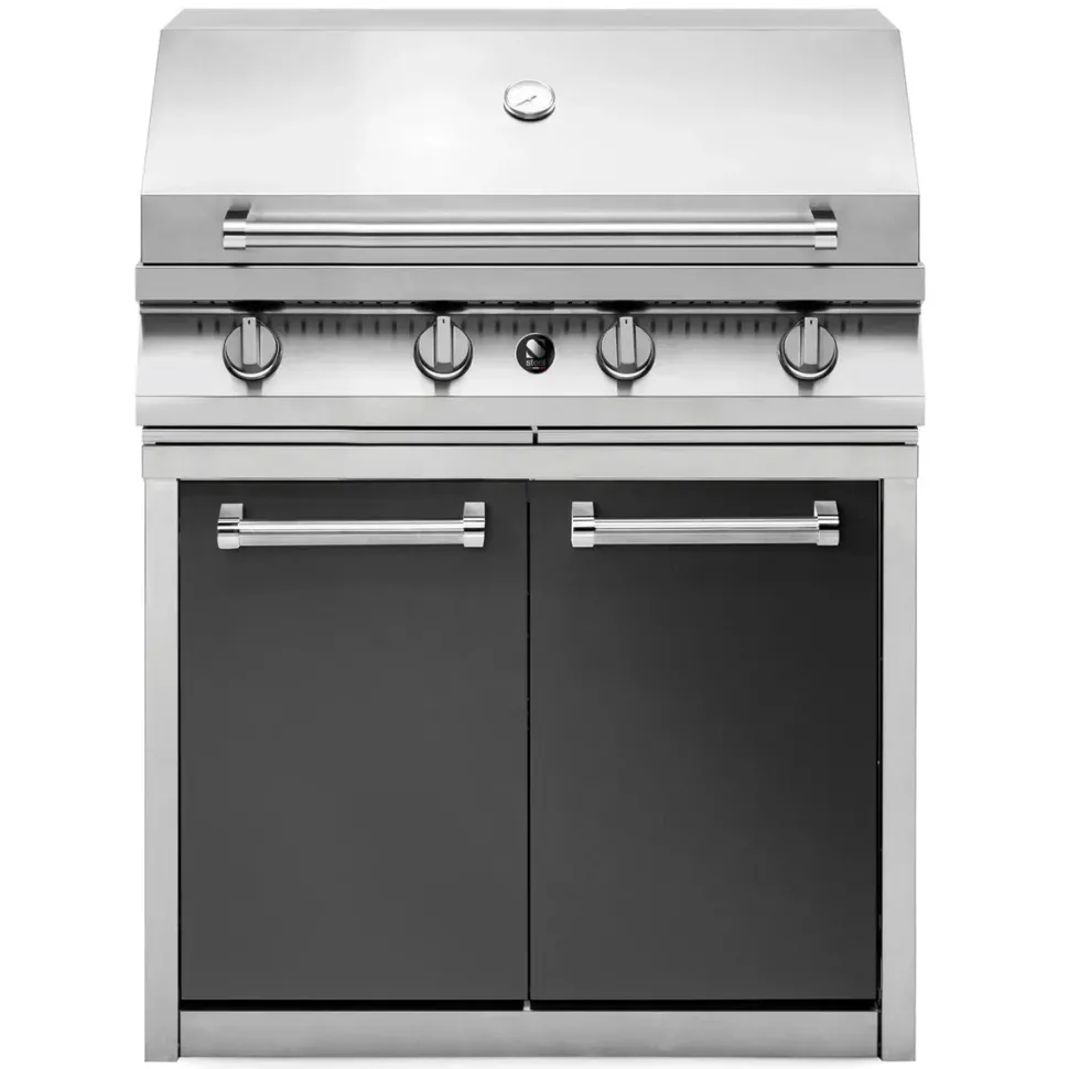 Barbecue G9bs-4c Steel ad un prezzo da non credere