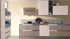 Cucina a prezzo ribassato lineare moderna Iris Cucine store