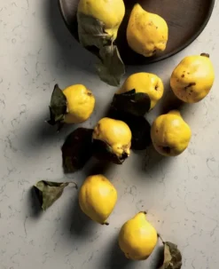 Cucina con isola moderna grigia Essebi Zenit a soli 14477 Euro