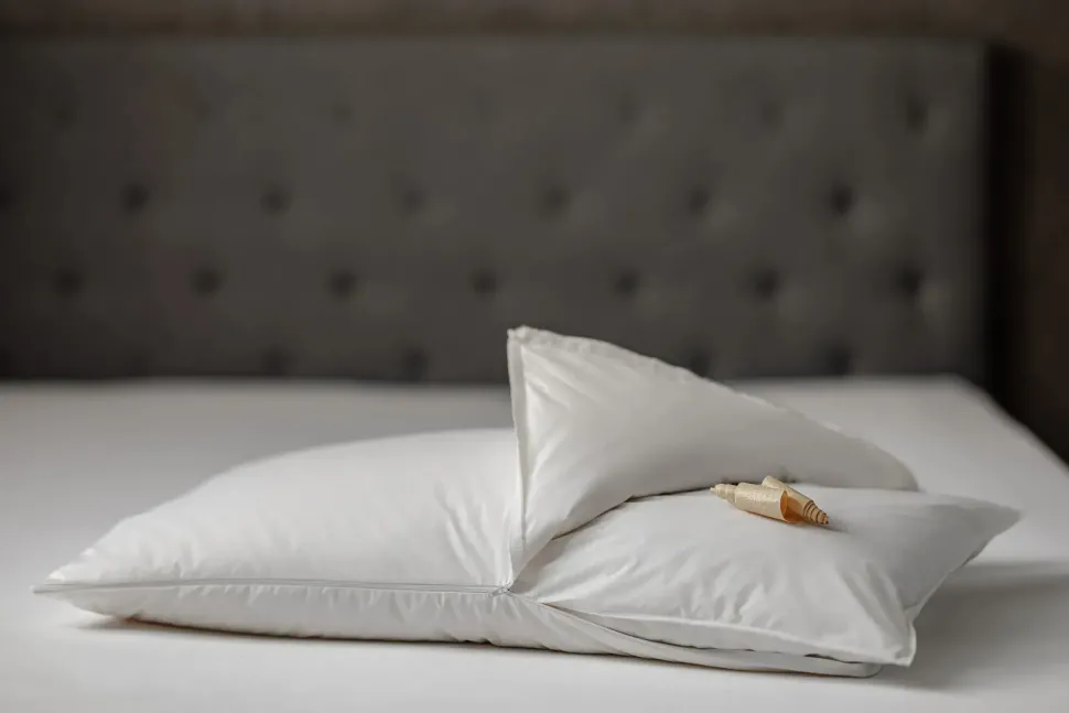 Cuscini letto in Piuma d'oca modello Perla cirmolo Daunenstep a prezzo outlet scontato affrettati