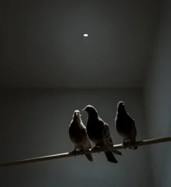 Da soffitto plafoniera Nulla Davide groppi a prezzo scontato