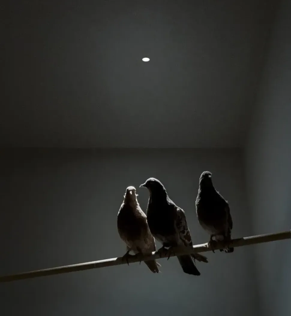 Da soffitto plafoniera Nulla Davide groppi a prezzo scontato