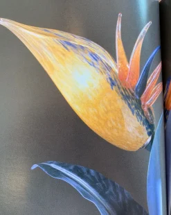 Da tavolo Banci con SCONTO IMPERDIBILE