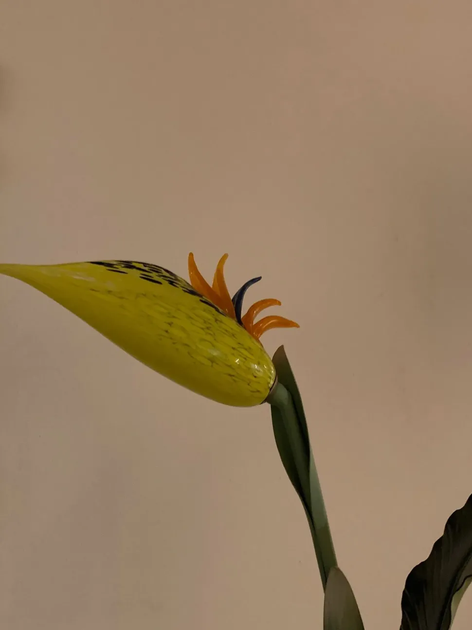 Da tavolo Banci con SCONTO IMPERDIBILE