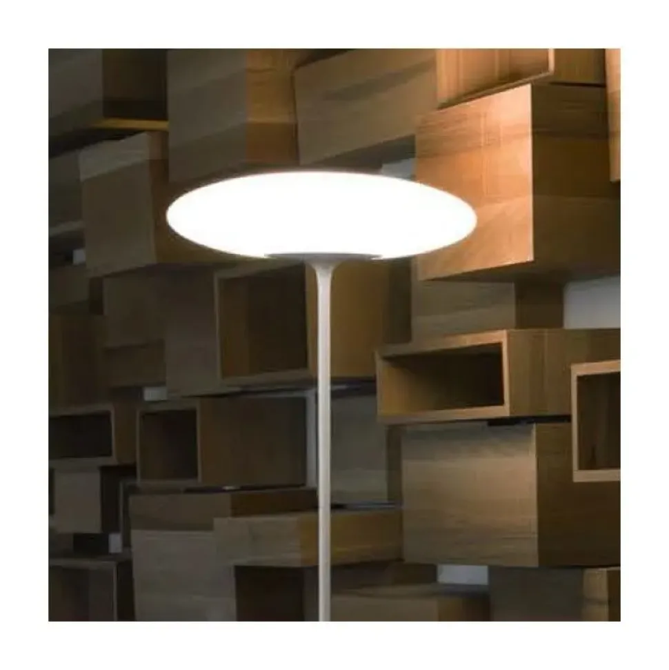 Da terra Linea light Squash fl stile Moderna con forte sconto