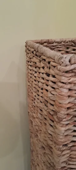 Da terra Piantana banano &tradition con uno sconto esclusivo