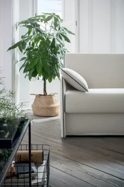 Divano letto TRUMAN Felis in Offerta Outlet