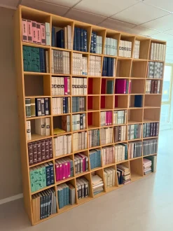 Libreria Artigianale in legno scontata -67%: scopri Biosfera