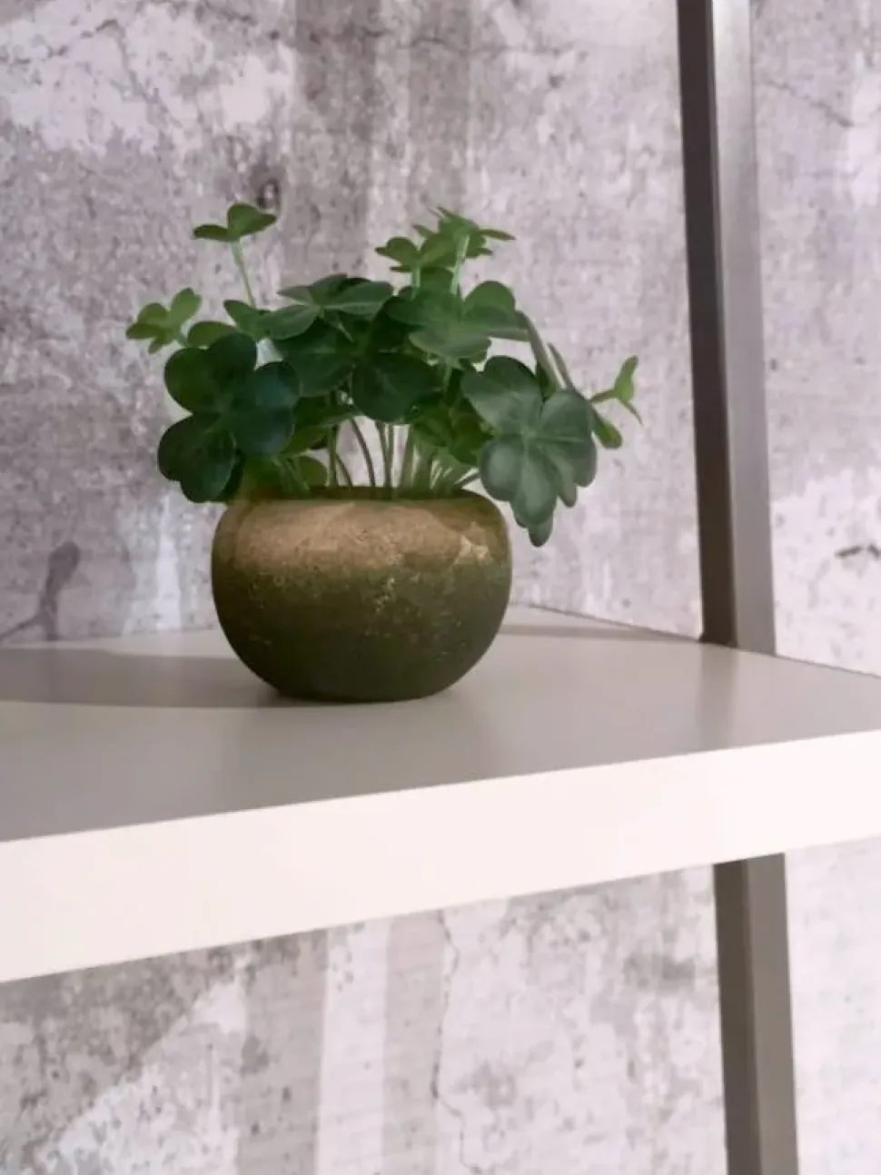 Libreria modello Movida di Tomasella in Offerta Outlet