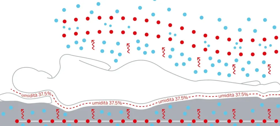 Materasso Zigflex Regula sweet con forte sconto