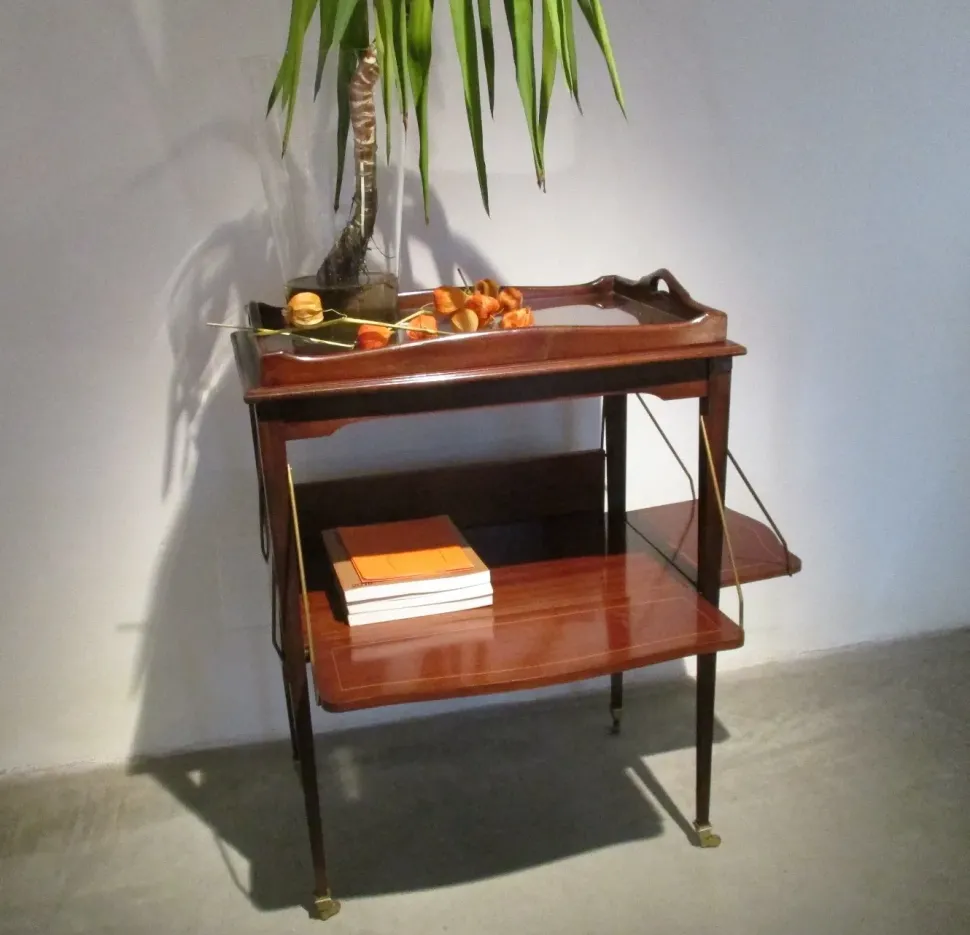 Mobile di Antiquariato in stile neoclassico con un ribasso del 50%