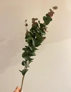 Oggettistica design Eucalipto rami pianta finta di Artigianale scontata del 27%
