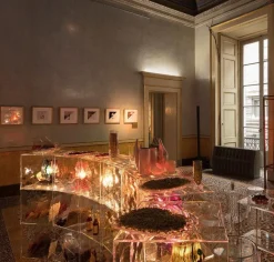 Oggettistica design Optic di Kartell