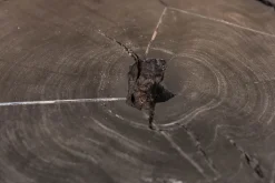 Prezzi ribassati per il tavolino design N. 1 tavolino legno massello sezione originale tronco di Artigianale