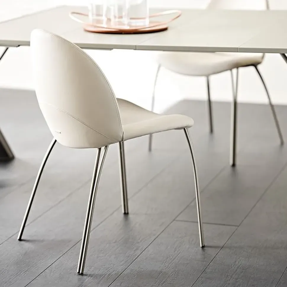 Scopri la sedia Holly di Cattelan Italia. Richiedi ora il prezzo riservato!