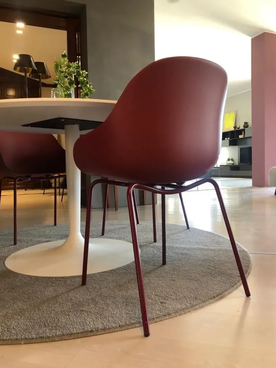 Sedia in plastica modello Academy di Connubia