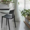 Sedia modello Nala impilabile di Altacom