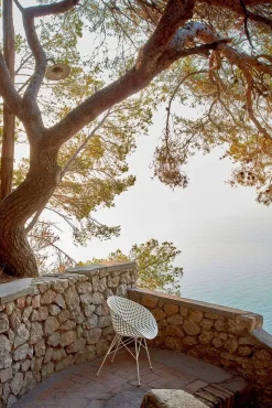 Sedia Smatrik di Kartell: scopri il prezzo riservato