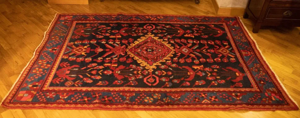 Tappeto Classico in lana modello Hamadan a prezzi outlet