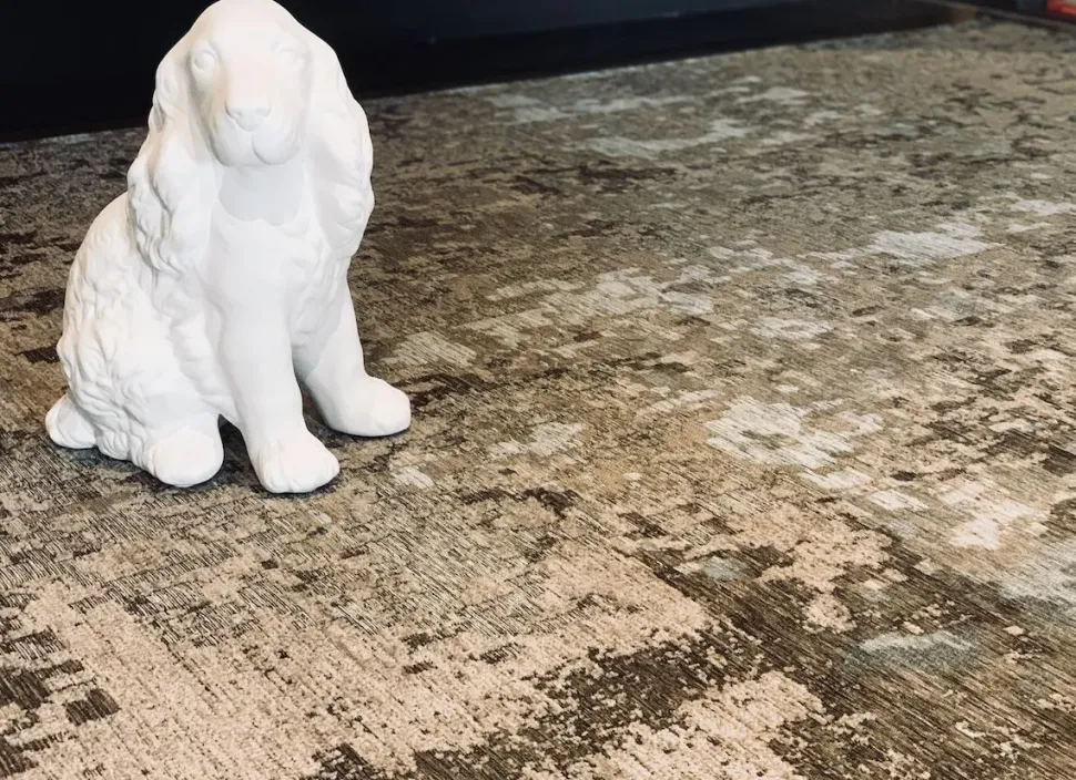 Tappeto in stile moderno Radja Cattelan italia a prezzo Outlet