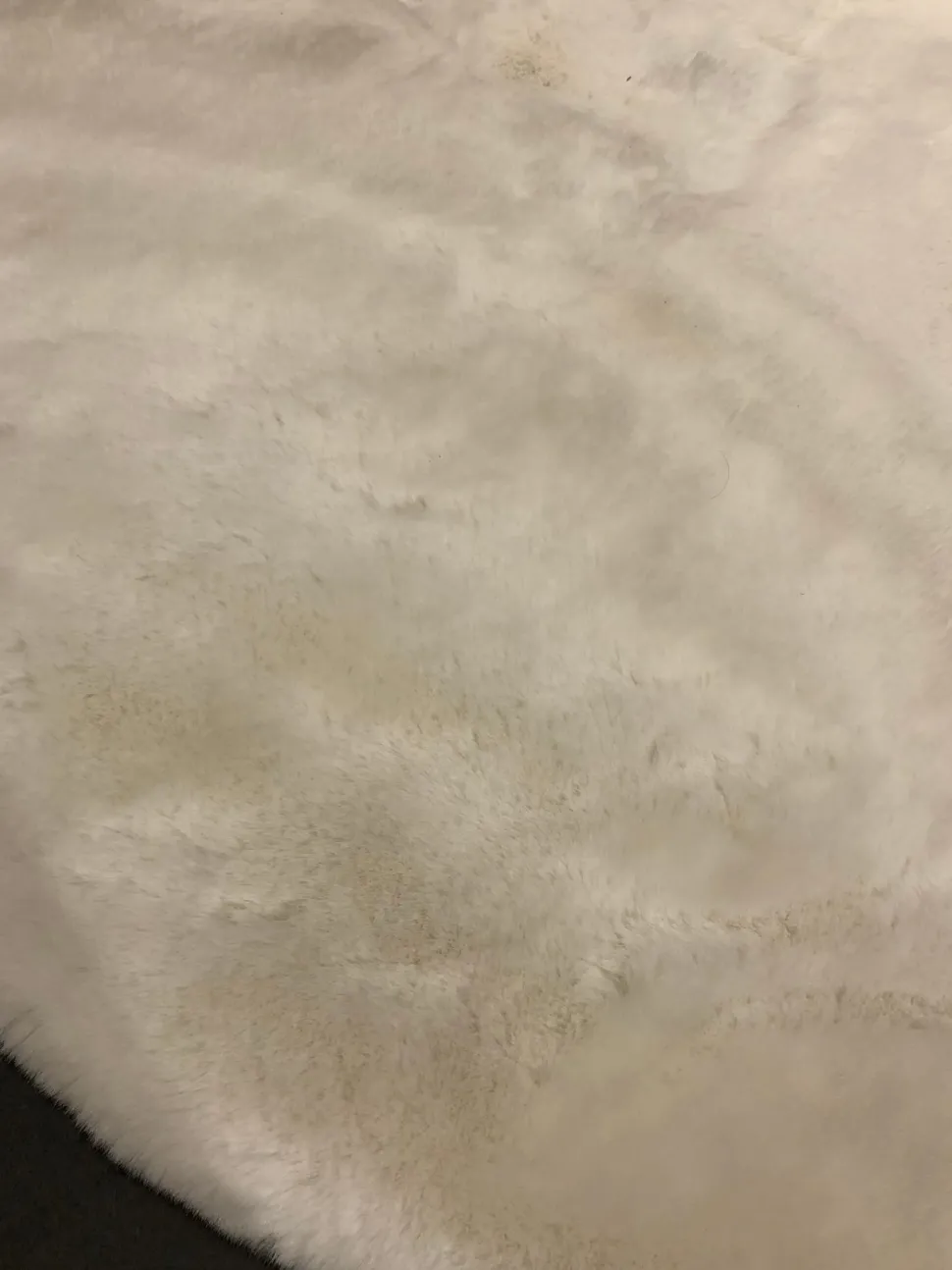 Tappeto modello Eco rug Tisca in fibra sintetica a prezzo Outlet