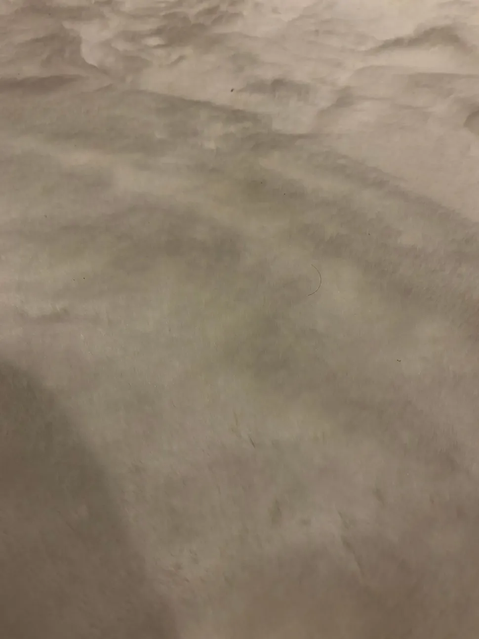 Tappeto modello Eco rug Tisca in fibra sintetica a prezzo Outlet