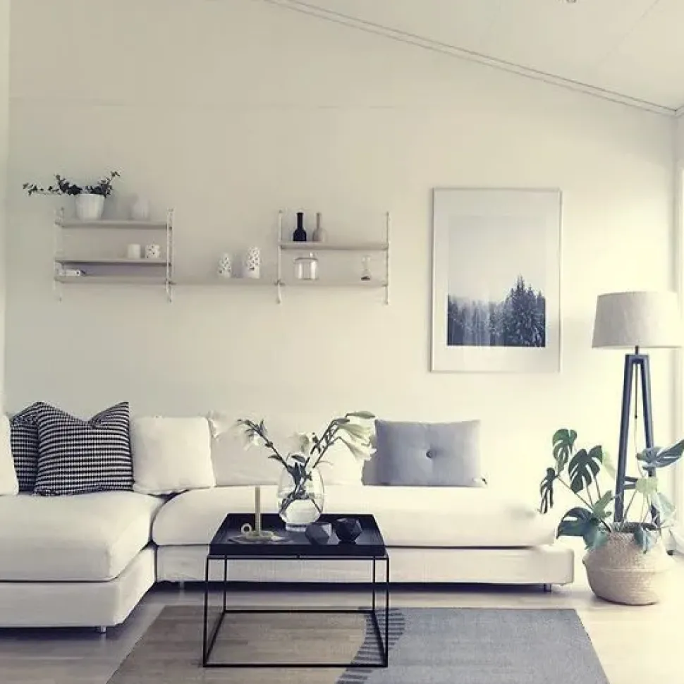 TAPPETO Tappeto in lana 190x290 taki natuzzi SCONTATO a PREZZO OUTLET