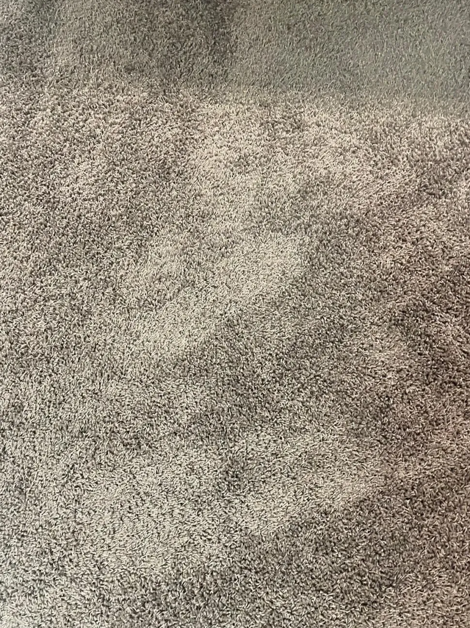 TAPPETO Tappeto SCONTATO a PREZZO OUTLET