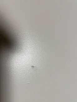 Tavolo rotondo in laccato First di Magis in Offerta Outlet